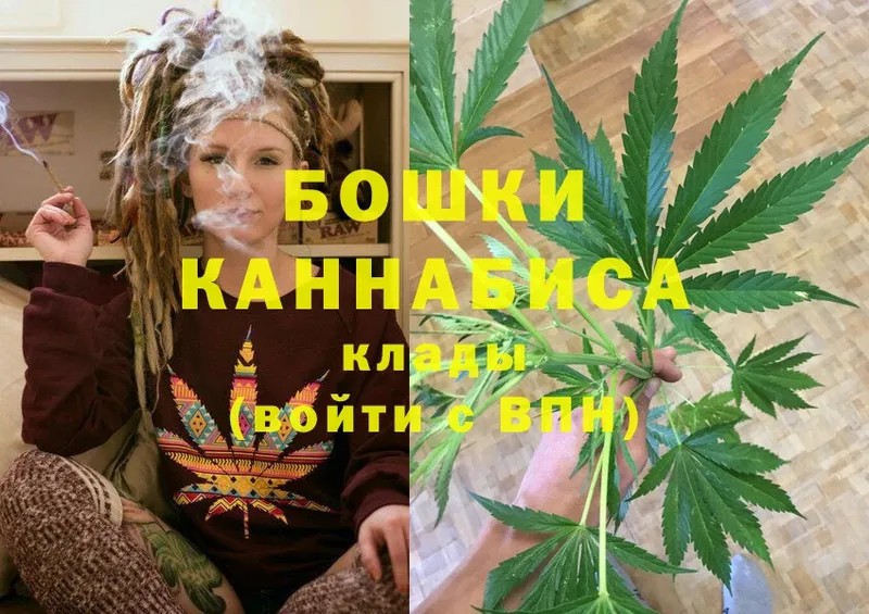 купить наркотик  Ардон  Каннабис White Widow 